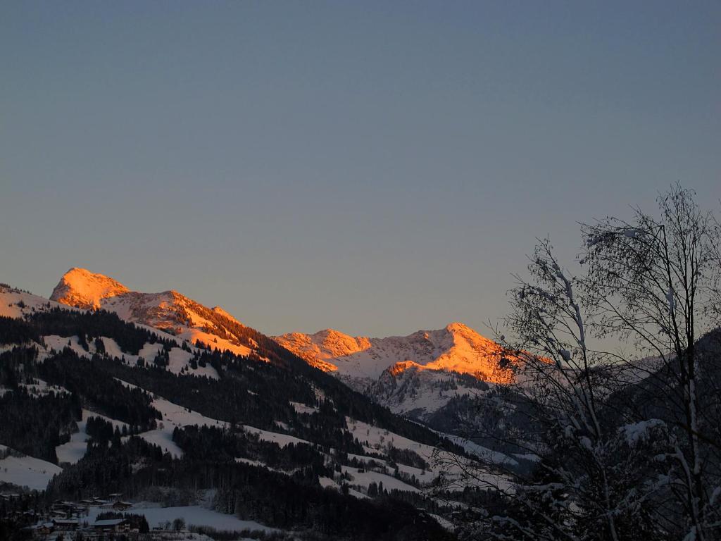 Apartment Haus Schatz Kitzbühel Oda fotoğraf
