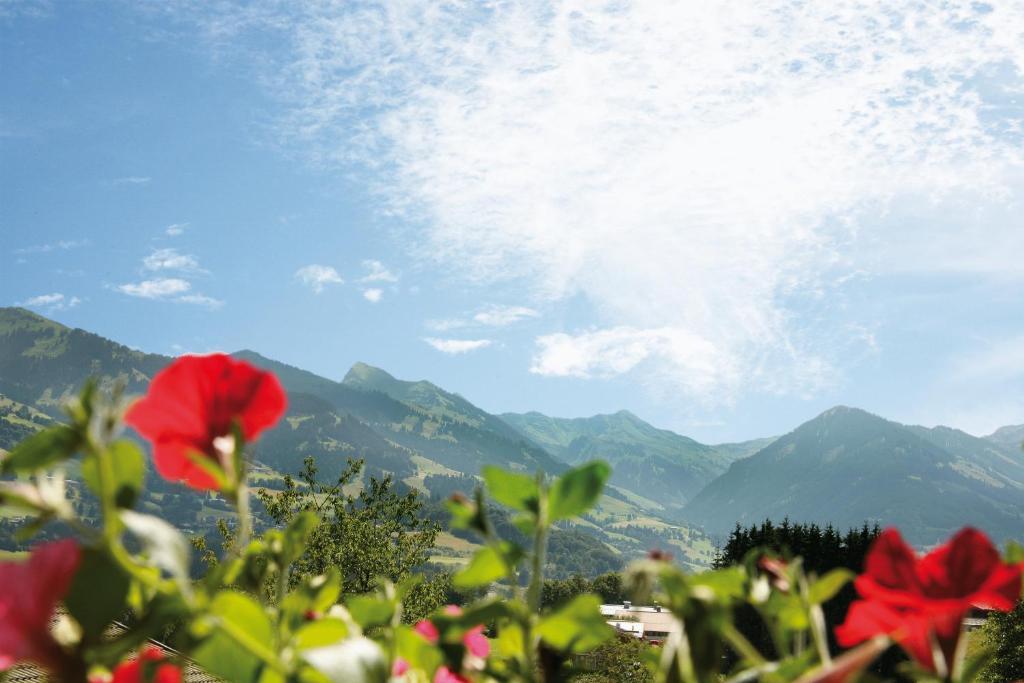 Apartment Haus Schatz Kitzbühel Dış mekan fotoğraf